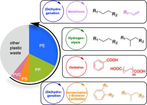 ChemRev Picture